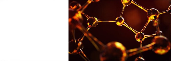 蜂胶显微镜放大图